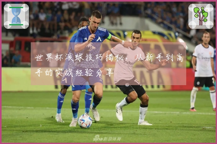 世界杯滚球技巧揭秘，从新手到高手的实战经验分享