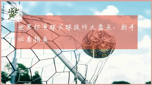 世界杯滚球买球技巧大盘点，新手必看指南