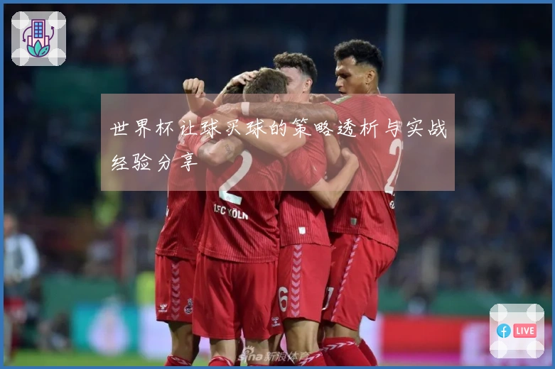 世界杯让球买球的策略透析与实战经验分享