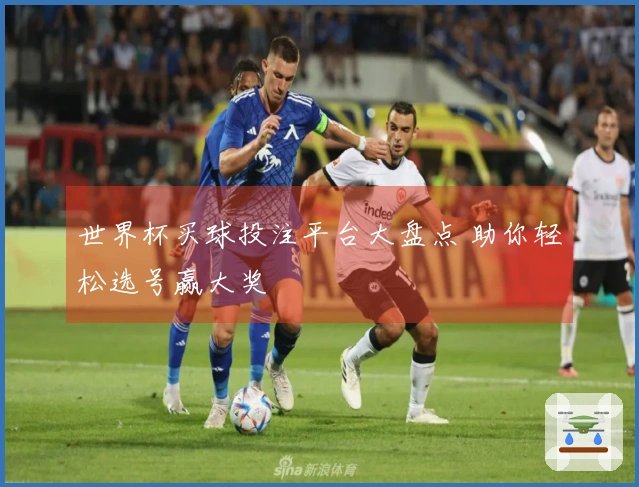 世界杯买球投注平台大盘点 助你轻松选号赢大奖