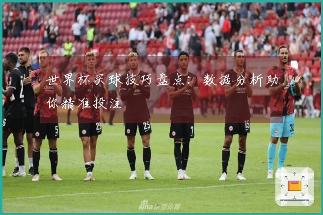 世界杯买球技巧盘点：数据分析助你精准投注