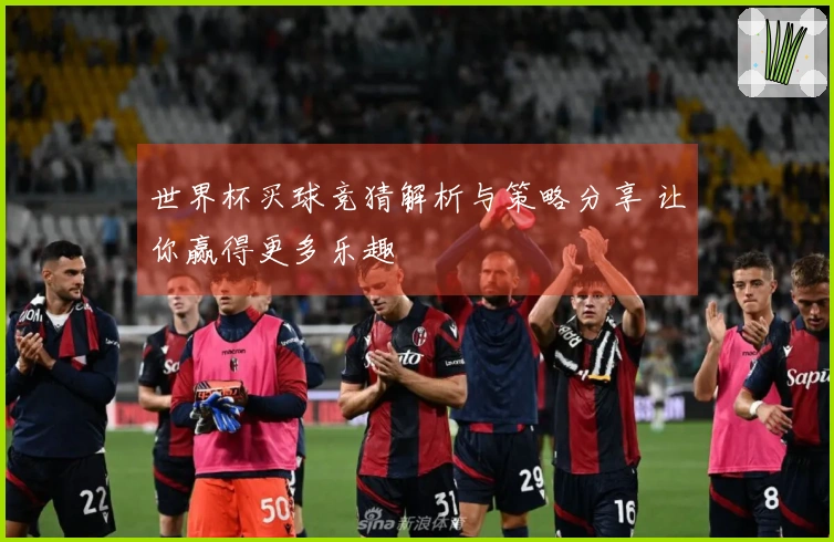 世界杯买球竞猜解析与策略分享 让你赢得更多乐趣